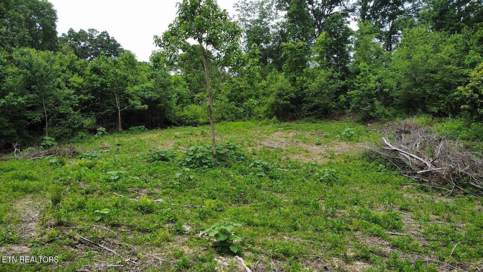 2.47 Acres of Residential Land for Sale in Rockwood, Tennessee
