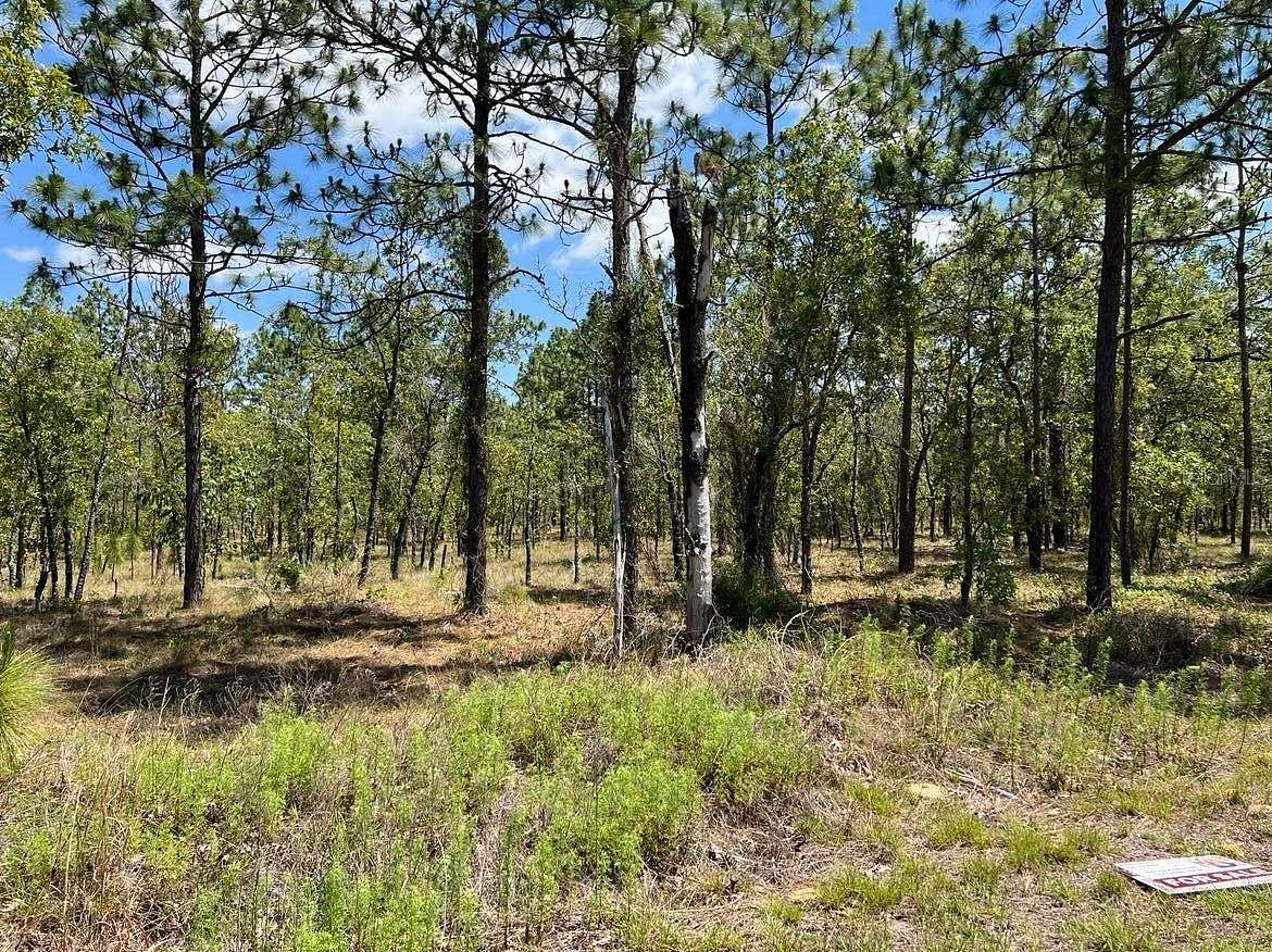 1 Acre of Residential Land for Sale in Dunnellon, Florida