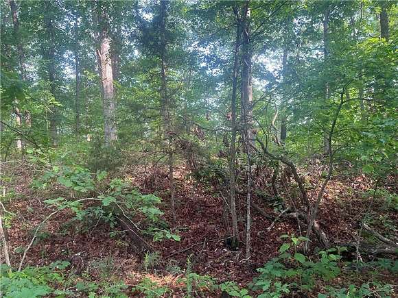 0.33 Acres of Residential Land for Sale in Bella Vista, Arkansas