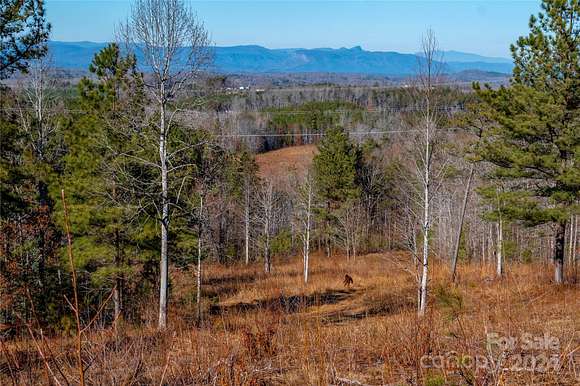 140 Acres of Recreational Land & Farm for Sale in Nebo, North Carolina