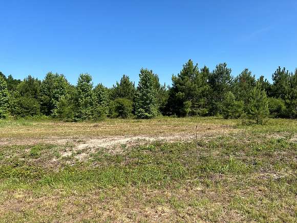 1 Acre of Residential Land for Sale in Dozier, Alabama