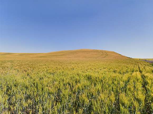 823 Acres of Agricultural Land for Auction in Genesee, Idaho