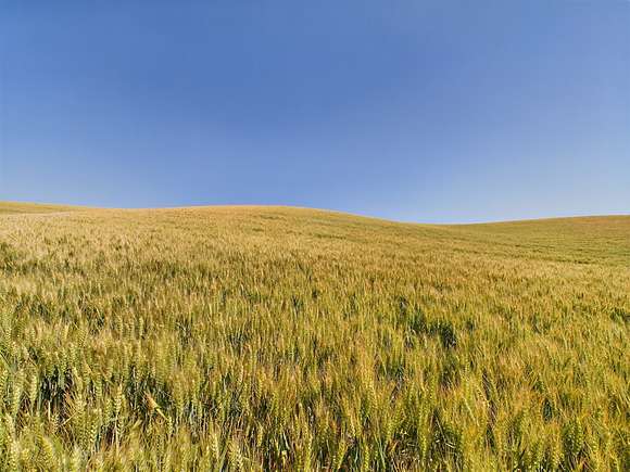 823 Acres of Agricultural Land for Sale in Genesee, Idaho - LandSearch