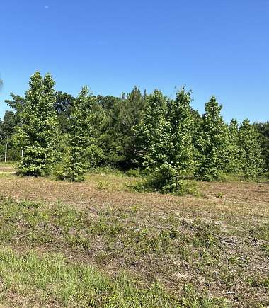 1 Acre of Residential Land for Sale in Dozier, Alabama