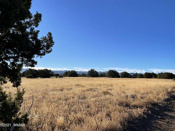 320 Acres of Land for Sale in Vernon, Arizona