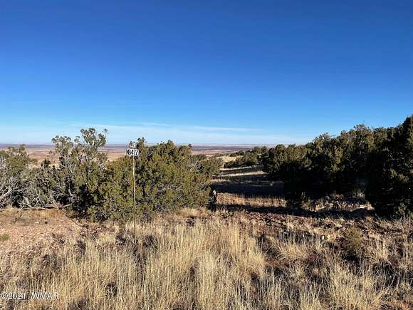 80 Acres of Agricultural Land for Sale in Adamana, Arizona