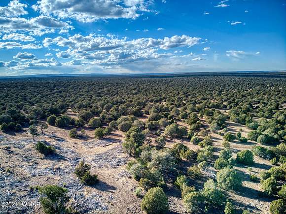 286 Acres of Land for Sale in Show Low, Arizona