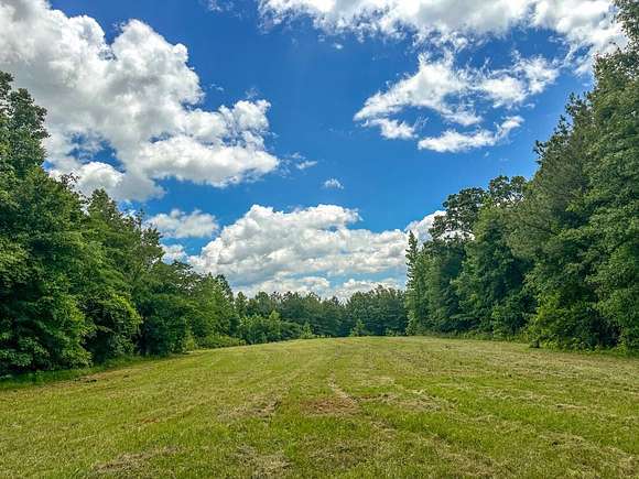 92 Acres of Agricultural Land for Sale in North Perry, Alabama