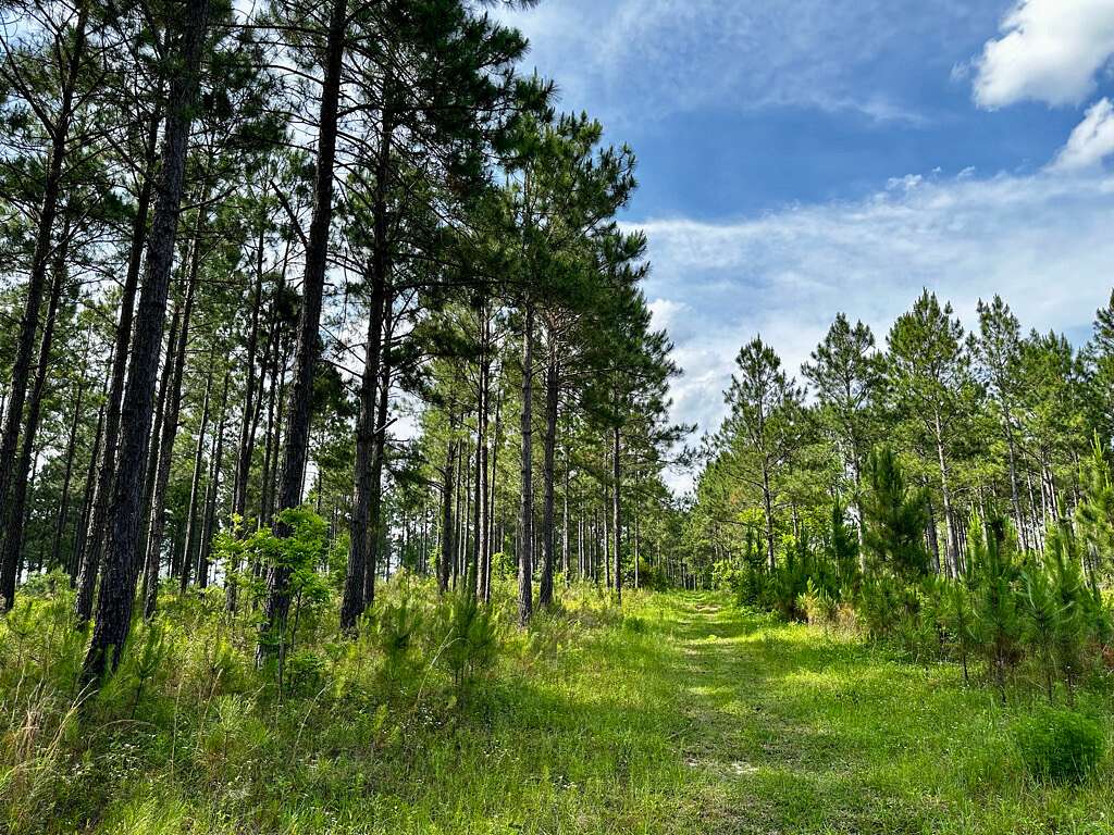 89.48 Acres of Recreational Land for Sale in McRae, Georgia