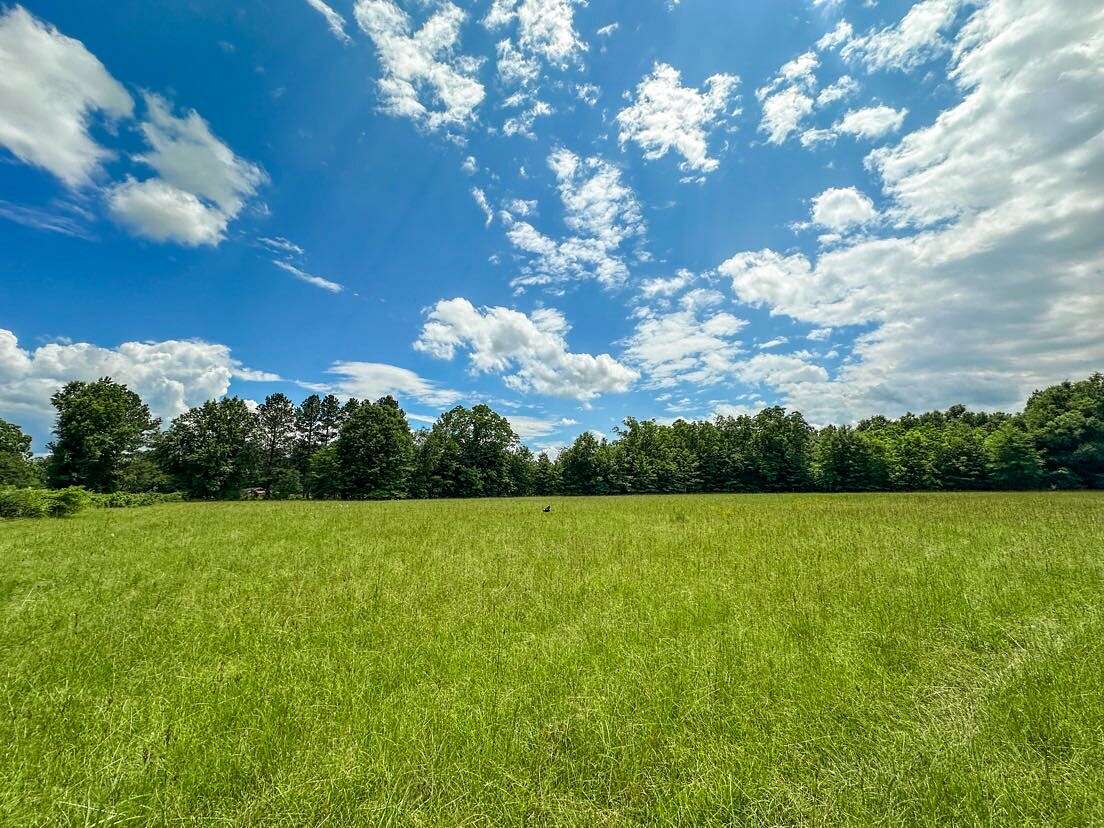 19 Acres of Recreational Land for Sale in Marion Junction, Alabama