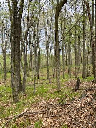 80 Acres of Recreational Land for Sale in Parma, Michigan