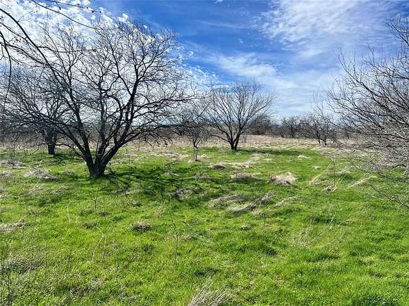 3 Acres of Residential Land for Sale in Aledo, Texas