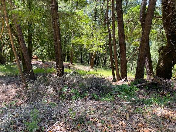 9.11 Acres of Residential Land for Sale in Guerneville, California