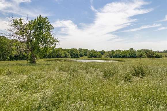 27 Acres of Agricultural Land for Sale in Blue Ridge, Texas