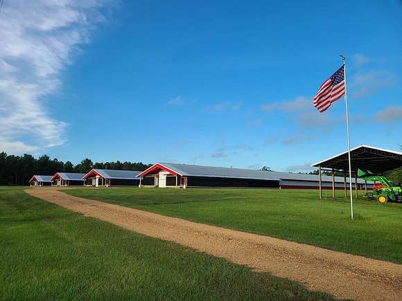 100 Acres of Agricultural Land with Home for Sale in Magnolia, Mississippi