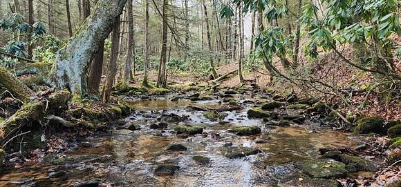 77 Acres of Recreational Land for Sale in Leivasy, West Virginia