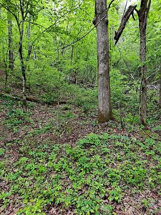 5 Acres of Residential Land for Sale in Reliance, Tennessee