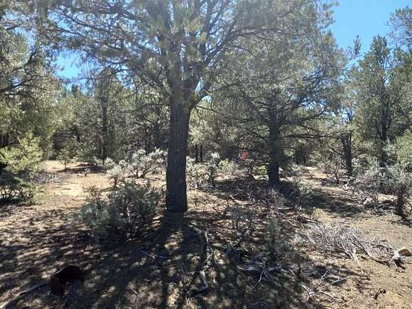 2.9 Acres of Land for Sale in Questa, New Mexico
