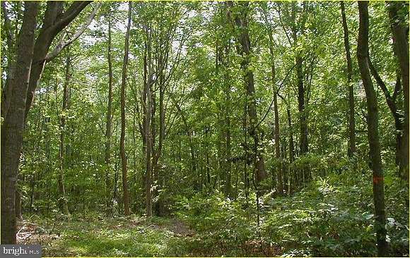 30.9 Acres of Land for Sale in Brandywine, Maryland