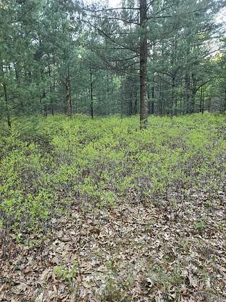 0.61 Acres of Residential Land for Sale in Pentwater, Michigan