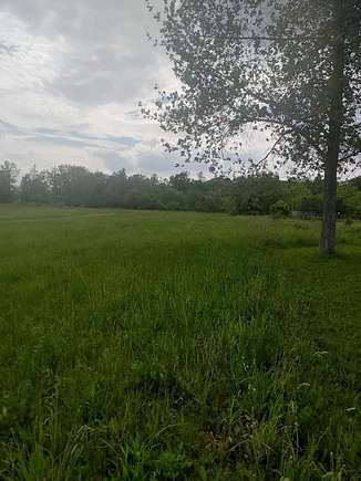 7.8 Acres of Residential Land for Sale in Vassar, Michigan