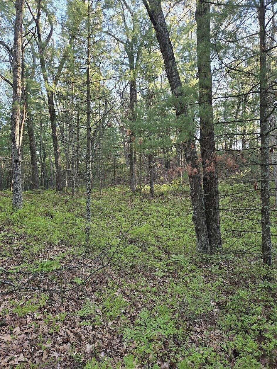 0.29 Acres of Residential Land for Sale in Pentwater, Michigan