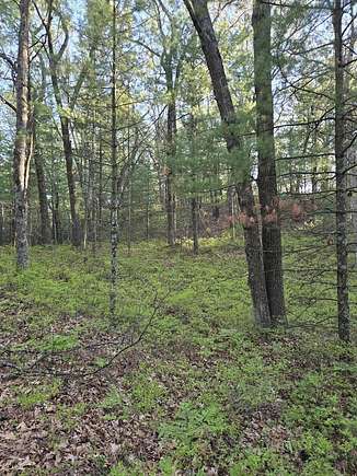 0.29 Acres of Residential Land for Sale in Pentwater, Michigan