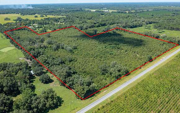 48.7 Acres of Agricultural Land for Sale in Live Oak, Florida