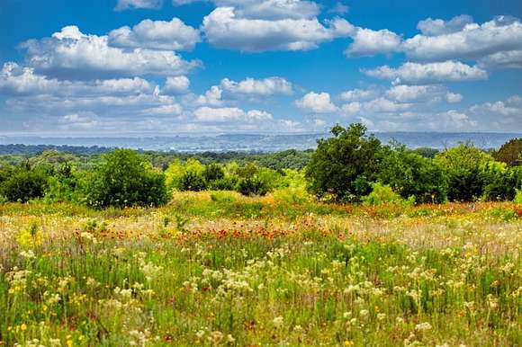 29.1 Acres of Land for Sale in Early, Texas