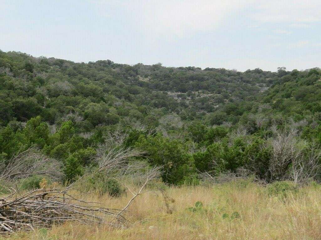 55 Acres of Recreational Land for Sale in Comstock, Texas