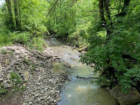 96 Acres of Recreational Land for Sale in Falmouth, Kentucky