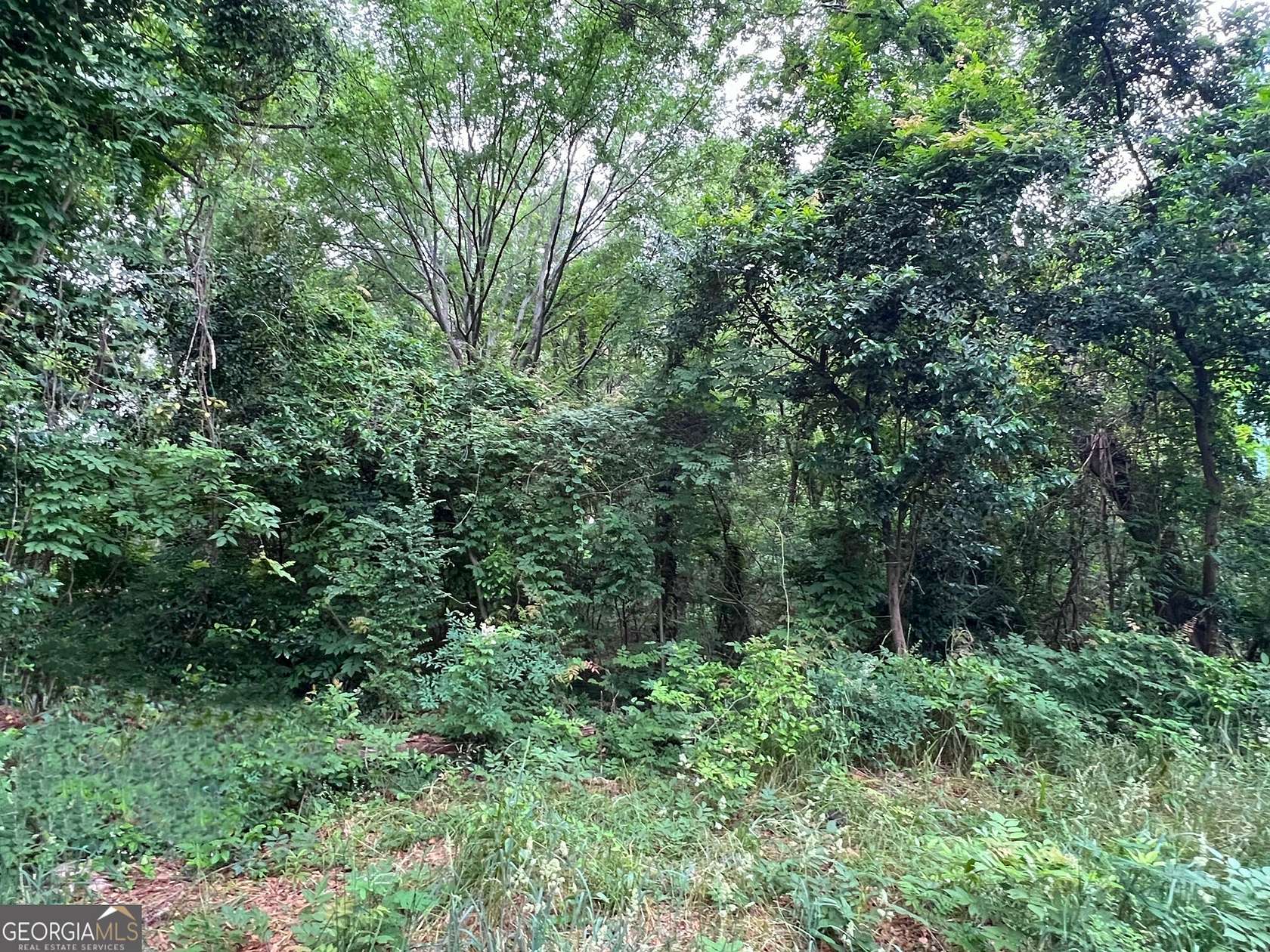 0.5 Acres of Residential Land for Sale in Madison, Georgia