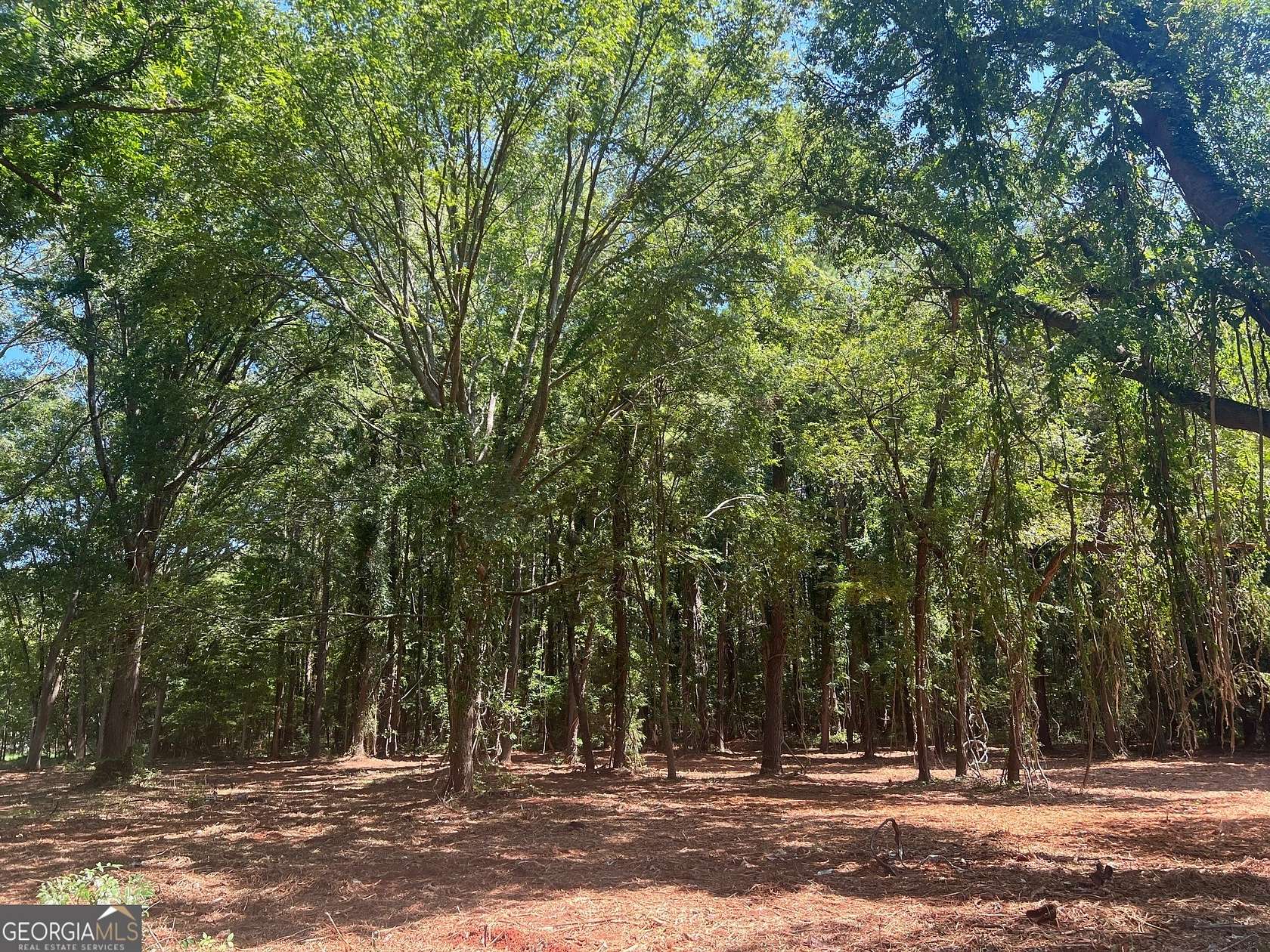 0.5 Acres of Residential Land for Sale in Madison, Georgia