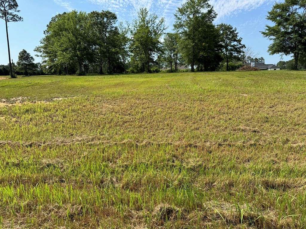 1.9 Acres of Land for Sale in Carriere, Mississippi