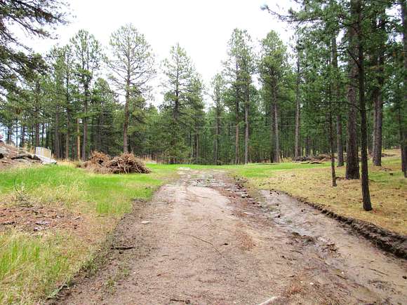 12.1 Acres of Recreational Land for Sale in Hill City, South Dakota