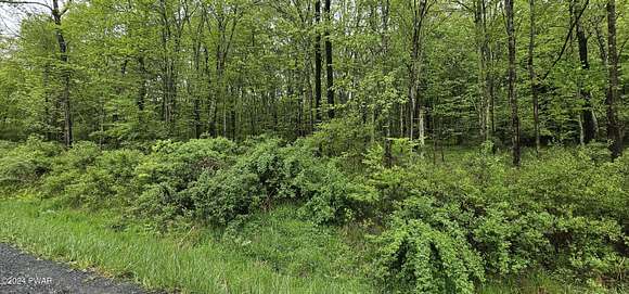 2 Acres of Residential Land for Sale in Cochecton Town, New York