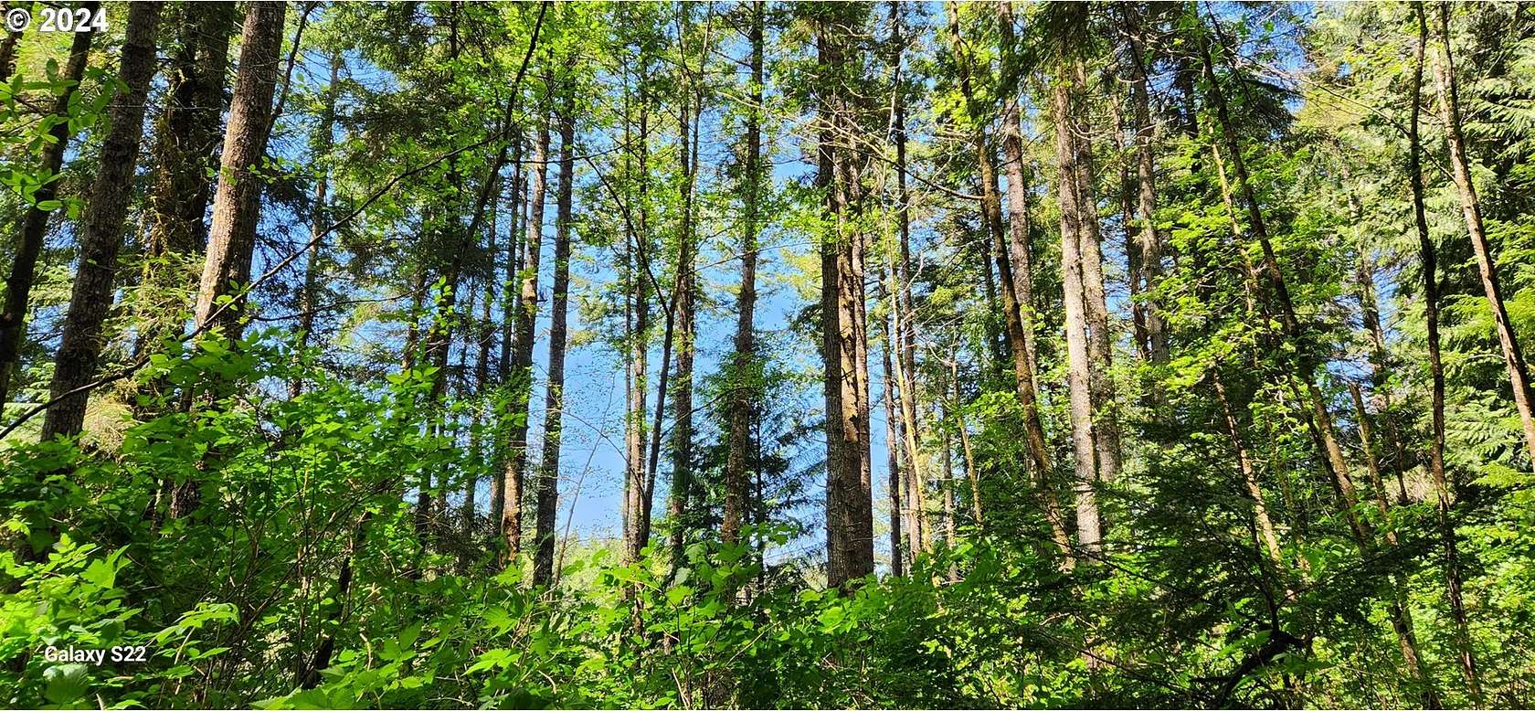 10.5 Acres of Land for Sale in North Bend, Oregon