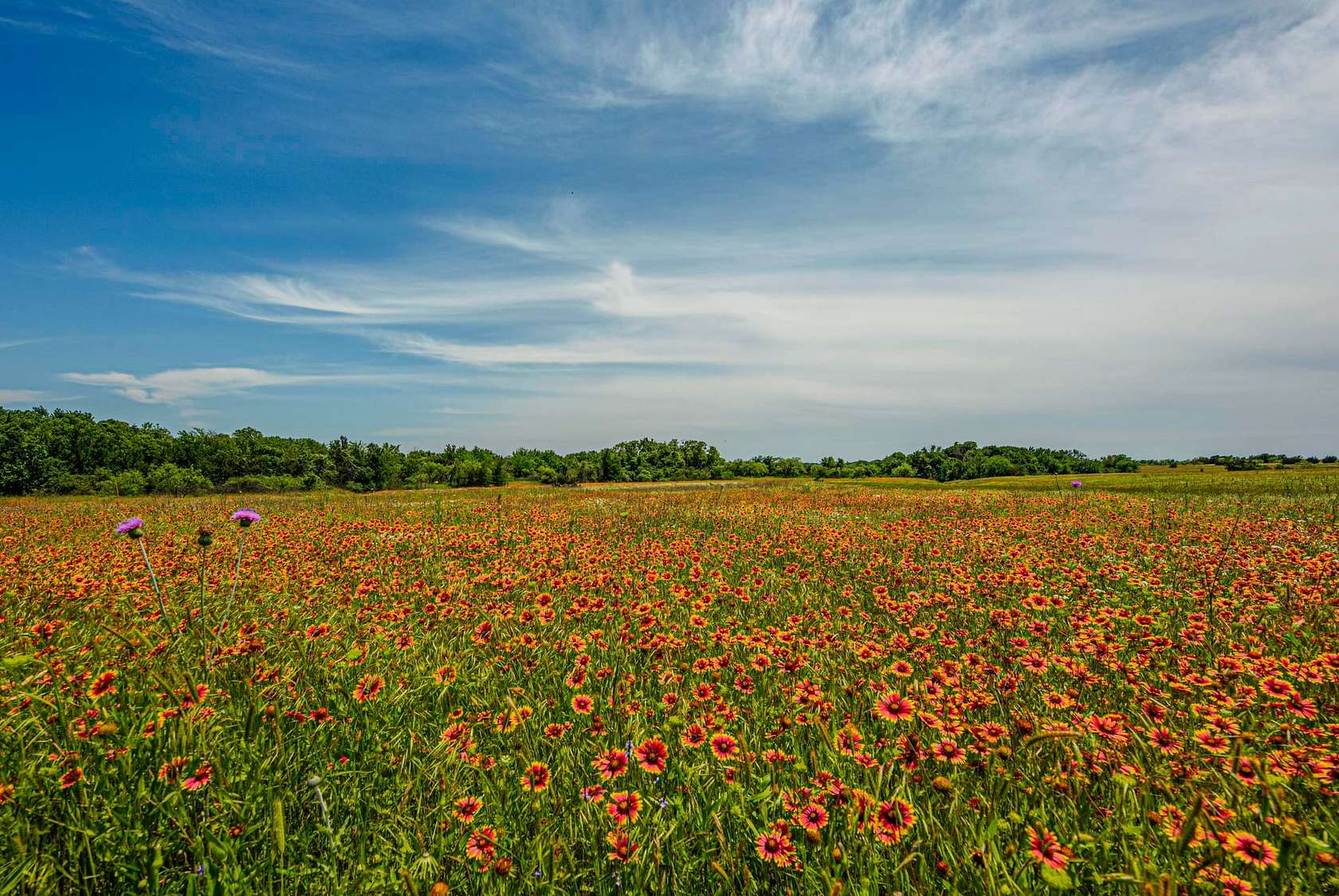 460 Acres of Recreational Land for Sale in Granbury, Texas