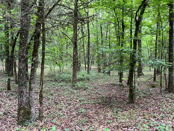 18 Acres of Recreational Land for Sale in Grannis, Arkansas