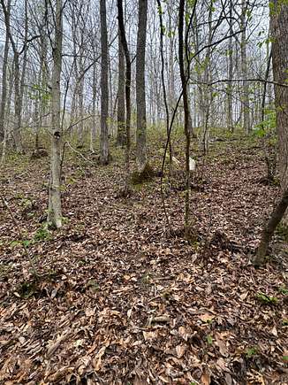 64.3 Acres of Recreational Land for Sale in Manchester, Kentucky