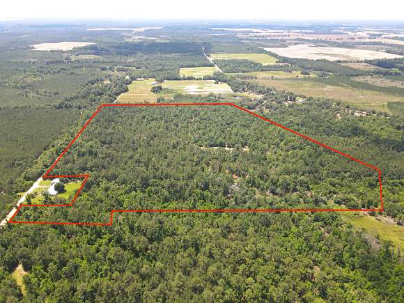 47.6 Acres of Recreational Land for Sale in Bascom, Florida