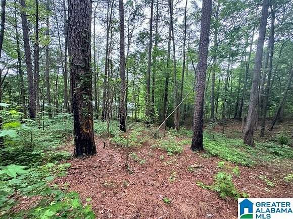 1.2 Acres of Residential Land for Sale in Attalla, Alabama