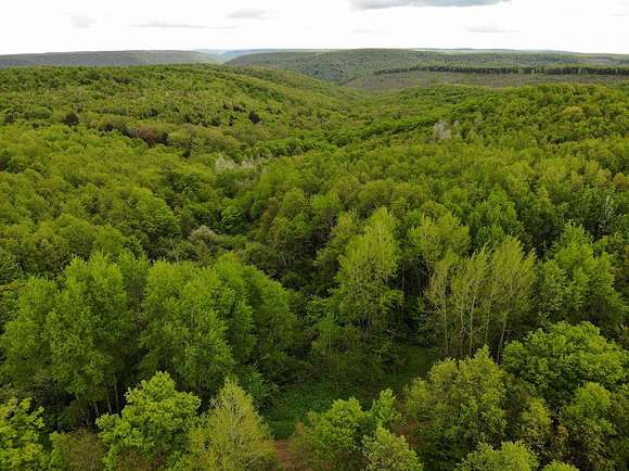 56.8 Acres of Recreational Land for Sale in Ulysses, Pennsylvania