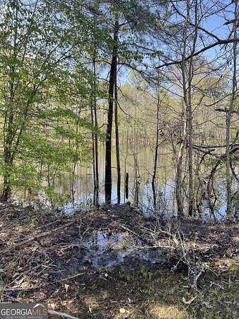 3 Acres of Land for Sale in Griffin, Georgia