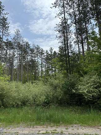 21.6 Acres of Recreational Land for Sale in Gowen, Michigan