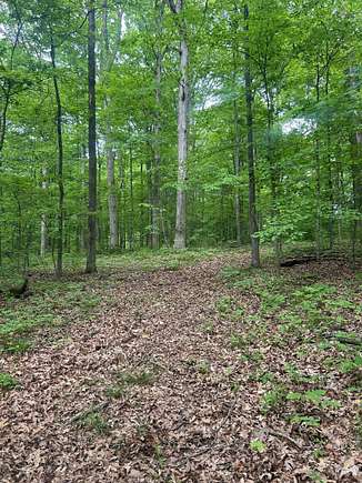 13 Acres of Recreational Land for Sale in Morgantown, Indiana