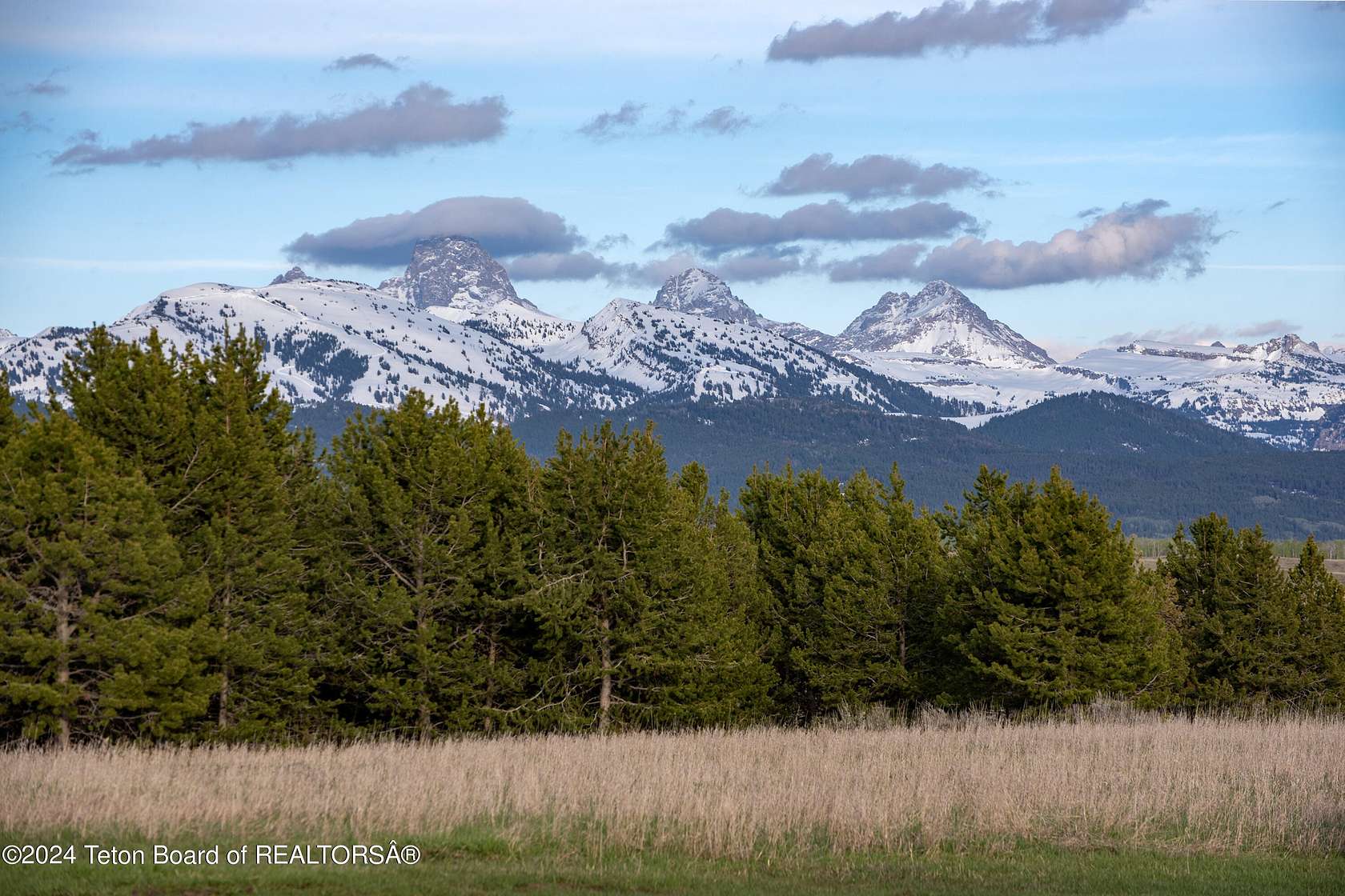 5.6 Acres of Residential Land for Sale in Tetonia, Idaho