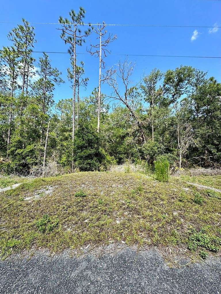 0.5 Acres of Land for Sale in Steinhatchee, Florida
