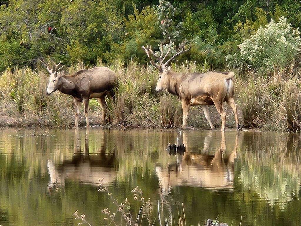 2 Acres of Land for Sale in LaRue, Texas