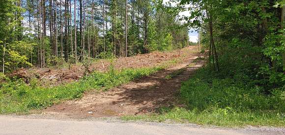16.8 Acres of Land for Sale in Riceville, Tennessee